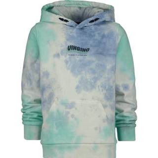 👉 Male blauw Vingino Hoody divaio 8720386479505
