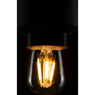 👉 Koelkastlamp SEGULA LED E14 1,5W 2.700K helder