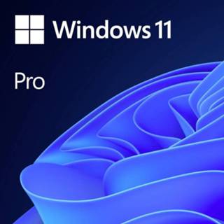 👉 Besturingssysteem Microsoft Windows 11 Pro englische Version Volledige versie, 1 licentie Engels