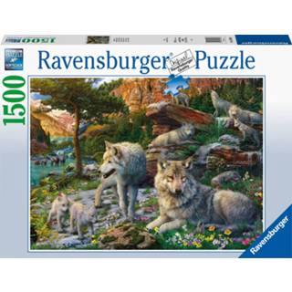 👉 Ravensburger puzzel 1500 stukjes wolfroedel