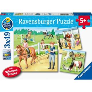 Puzzel mannen Ravensburger 3x49 een dag op de manege 4005556051298