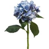 Hortensia Artist blauw Blauw Hortensia Artist 48cm 8505451227546 2900078008015