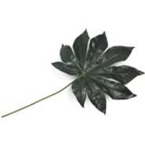 Kunstplant groen Fatsia leaf 55cm 8719911316613 2900080512012