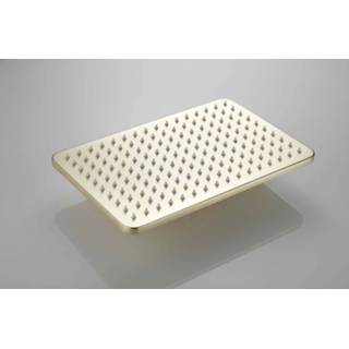 👉 Douchekop messing goud Saniclear Vision rechthoekige 30x20cm geborsteld mat 7434210871823