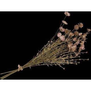 👉 Kunstplant dry flower bouquet 8719911615198 2900083710019
