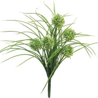 Dag crème beige Allium Bush w / gras 39cm 8505452041103 2900078046017