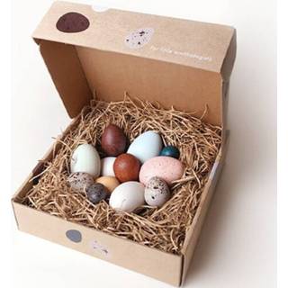 👉 Active Moon picnic vogeleieren - 12st