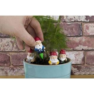 👉 Mini garden kunststof Gift Republic Gnomes set van 4 5056004319674