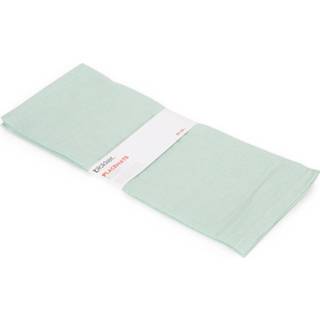 👉 Placemat groen Blokker Placemats Mintgr 35x45cm S/2 8718827163960