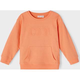 👉 Sweatshirt sweatstof jongens oranje 5715211100528