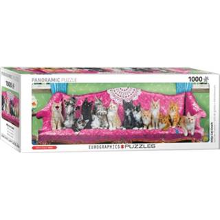 👉 Panoramapuzzel dieren legpuzzels Kitty Cat Couch Panorama Puzzel (1000 stukjes) 628136656290