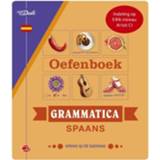 👉 Oefenboek Van Dale Grammatica Spaans - Christina Irún Chavarría 9789460775000