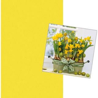 👉 Tafelkleed geel papier Pasen tafeldecoratie set en 20x paas thema servetten met narcissen bloemen print