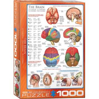 👉 Puzzel One Size meerkleurig Eurographics The Brain - 1000 stukjes 628136602563