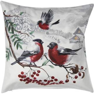 👉 Kussenhoes wit polyester Clayre & Eef 45*45 Cm Vierkant Vogels Sierkussenhoes Kussen Hoes 8717459805293