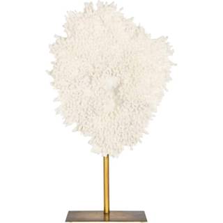 👉 Wit active Richmond Decofiguur Coral Jesse White 8720621611332