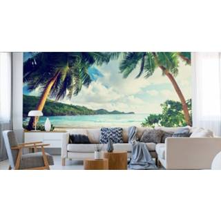 👉 Fotobehang - Palmbomen paradijs, premium print, inclusief behanglijm 5904343435572