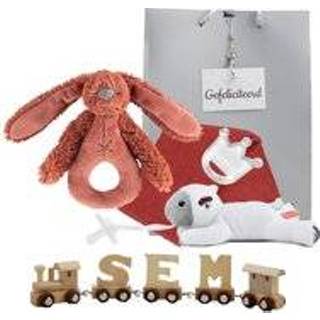 👉 Rammelaar houten naamtreintje met rusty 6013747599571