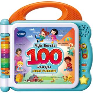 👉 VTech Mijn Eerste 100 Woordjes - Leuke Plekken 3417766130426