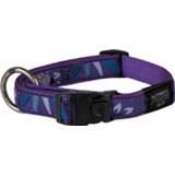 👉 Hondenhalsband Purple Forest