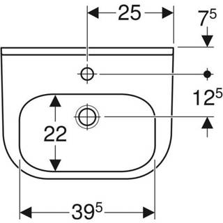 👉 Geberit 300 Basic fontein 50x38cm 1 kraangat met overloop Keratect wit