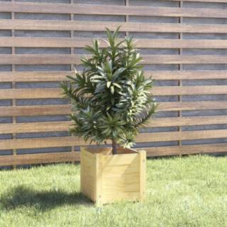 👉 Plantenbak grenenhout active 31x31x31 cm massief 8720286773086