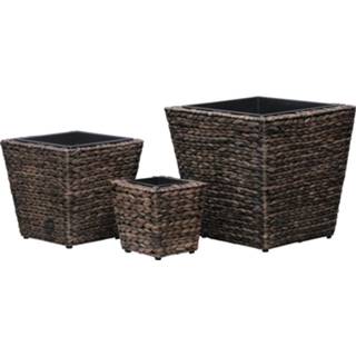 👉 Plantenbak bruin active Plantenbakken verhoogd 3 st waterhyacint 8718475727453