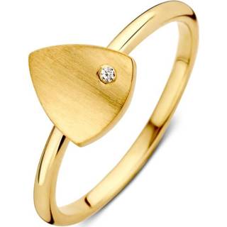 👉 Zirkonia active Excellent Jewelry Geelgouden Ring met Mat Driehoekig Plaatje en