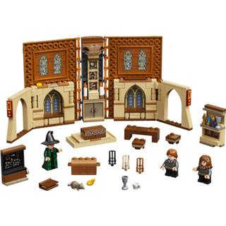 👉 Unisex LEGO Harry Potter: Zweinstein Gedaanteverwisselingsklas set (76382) 5702016913576
