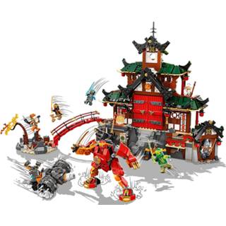 👉 Unisex LEGO NINJAGO: Ninja Dojo Temple Master of Spinjitzu Set (71767) 5702017151649