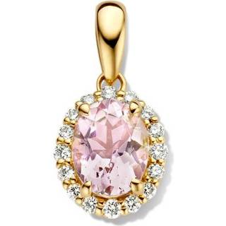 👉 Oorhanger diamanten active Excellent Jewelry Gouden Hanger met en Morganiet 8785259739162