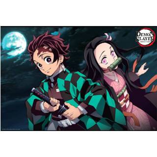 👉 Poster unisex Hoofdmateriaa Papier meerkleurig Demon Slayer - Tanjiro & Nezuko 3665361070177