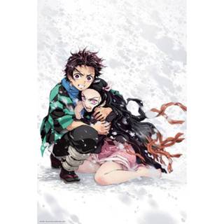 👉 Poster Hoofdmateriaa Papier meerkleurig unisex Demon Slayer - Tanjiro & Nezuko Snow 3665361070184