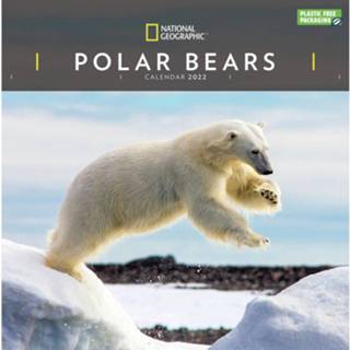 👉 Kalender Dieren 2022 Ijsberen National Geographic 30 Cm - Jaarkalenders 9781529819397