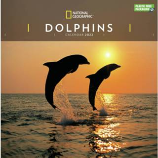 👉 Kalender Dieren 2022 Dolfijnen National Geographic 30 Cm - Jaarkalenders 9781529819403