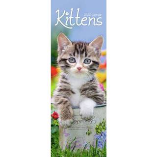 👉 Kalender Huisdieren/dieren 2022 Katten/poezen Kittens 15 X 42 Cm - Jaarkalenders 9781839413629