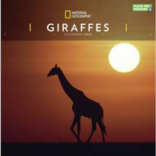 👉 Kalender Dieren 2022 Giraffen National Geographic 30 Cm - Jaarkalenders 9781529816112