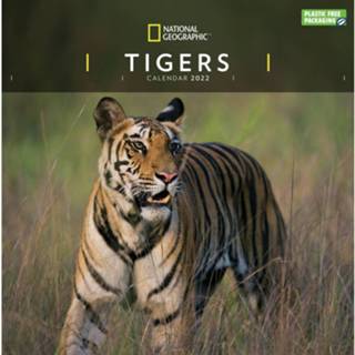 👉 Kalender Dieren 2022 Tijgers National Geographic 30 Cm - Jaarkalenders 9781529816150