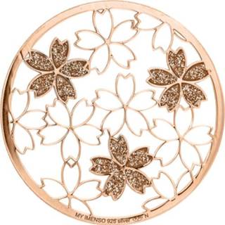 👉 Zilveren Cover Munt met Zirkonia Bloemen