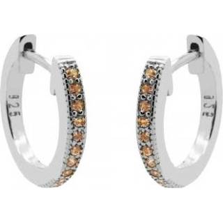 👉 Oorring zilverkleurige active Karma Hinged Hoops Champagne Bella Oorringen