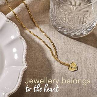 👉 Halsketting zilveren active Verguld Collier met Gediamanteerd Hart