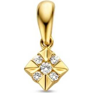 👉 Oorhanger diamanten active Excellent Jewelry Gouden Hanger met 8785259740014