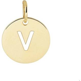 👉 Hanger geelgoud active Opengewerkte Letter V van