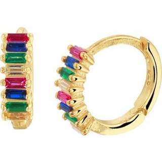 👉 Zirkonia zilver vrouwen oorbel active Verguld Klapoorringen 2100984 8718834654345