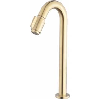 👉 Fonteinkraan messing XL active Sanifun Ezra Geborsteld Messing. 5404013551958
