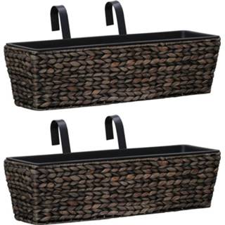 👉 Plantenbak bruin active Plantenbakken 2 st waterhyacint 8718475727514