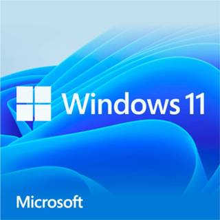 👉 Microsoft Windows 11 Home Nederlands 889842905250