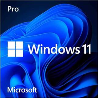 👉 Microsoft Windows 11 Pro Nederlands