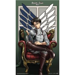 👉 Poster Attack on Titan Fabric Levi 70 x 120 cm 6430063311081