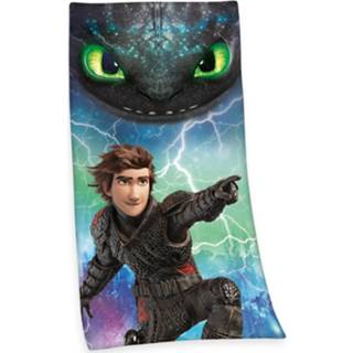 👉 Strandlaken berk katoen multikleur Dreamworks Dragons: Riders Of - 100% 75x150 Cm Multi 4006891925824